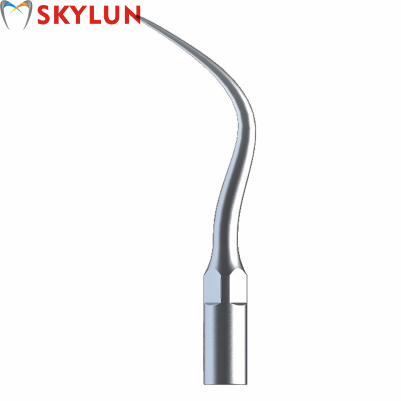 5PCS P4 치과용 초음파 스케일러 팁 치아 미백용  - Teeth Whitening Usa 리뷰 및 가격