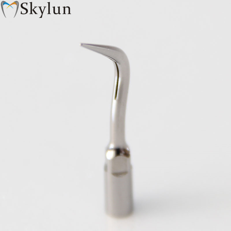 5PCS P4 치과용 초음파 스케일러 팁 치아 미백용  - Teeth Whitening Usa 리뷰 및 가격